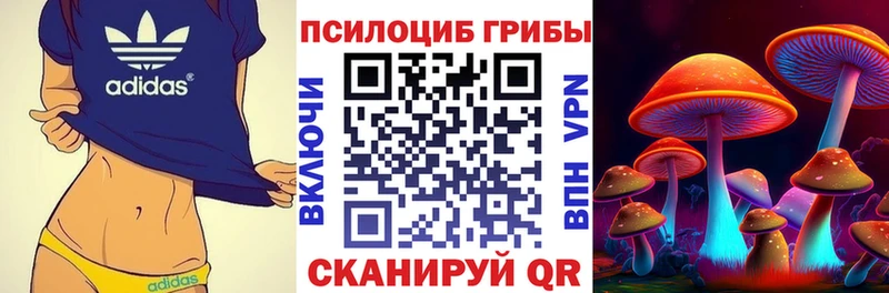 hydra tor  где купить наркоту  Торжок  Галлюциногенные грибы GOLDEN TEACHER 